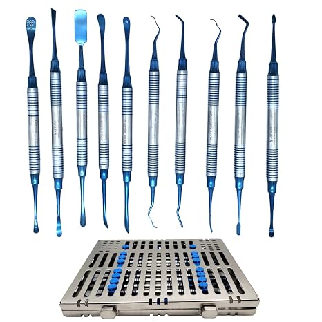 ARTMAN INSTRUMENTS Periosteal Dental Elevators Set 10 Pcs Periosteum Implant Elevators in Stainless Steel Cassette