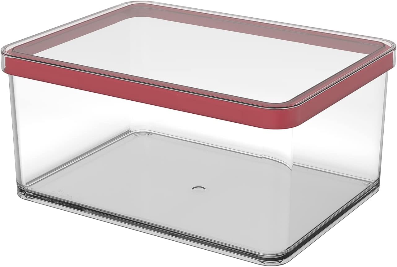 Rother Brau Rotho Loft Storage Box 2.25 l with lid, Plastic PP BPA-Free, 2,25l 20,0 x 15,0 x 9,6 cm, 2.25 Litre, Transparent Red Seal