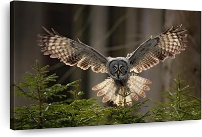 ElephantStock Flying Owl Wall Art - Horizontal Wrapped Canvas - 1-Piece Living Room Wall Decor - Photography Animal Canvas Print - Gray and Green Decor for Wall - 12 X 8