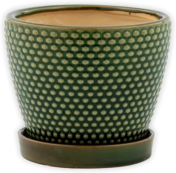 Napco 14227 Hobnail Green 5 x 5 Ceramic Standing Container Garden Planter Pot with Saucer