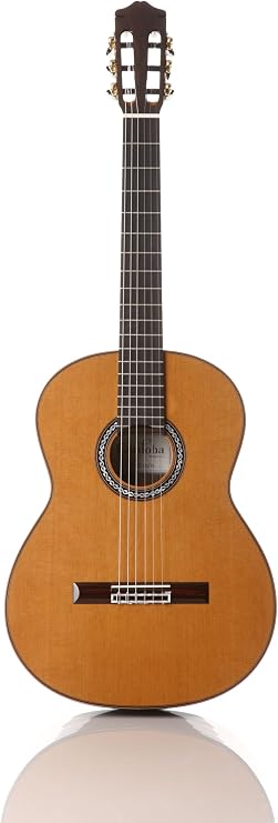 Cordoba Classical with Solid Cedar Top and Solid Rosewood Back