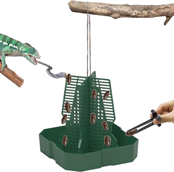 Chameleon Feeder Bearded Dragon Feeder for Mounted Insect(Medium) | Plastic,Anti-Escape,Crested Gecko Tank Accessories,with Rope and Tweezers,for Lizard Bearded Dragon Gecko Frog