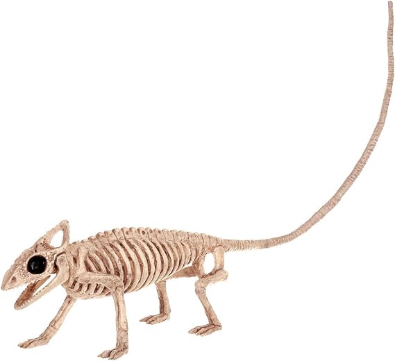Crazy Bonez Skeleton Lizard