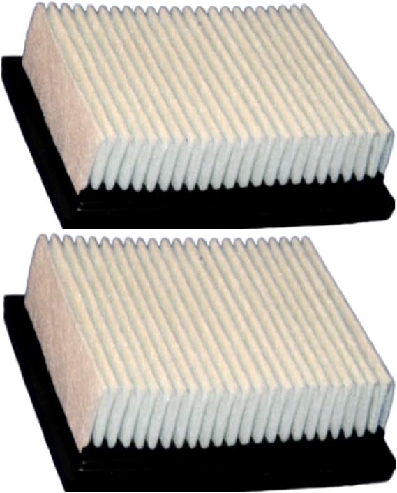Dust Panel Filter 2 Pack Part 1037822 for Tennant Sweeper