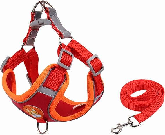 Small Dog Harness with Leash, Adjustable Reflective Cat Dog Vest, Breathable Mesh Puppy Harness Walking Harness, Custom Pet Name and Number Pendant Pet ID Tags(XL , Red)