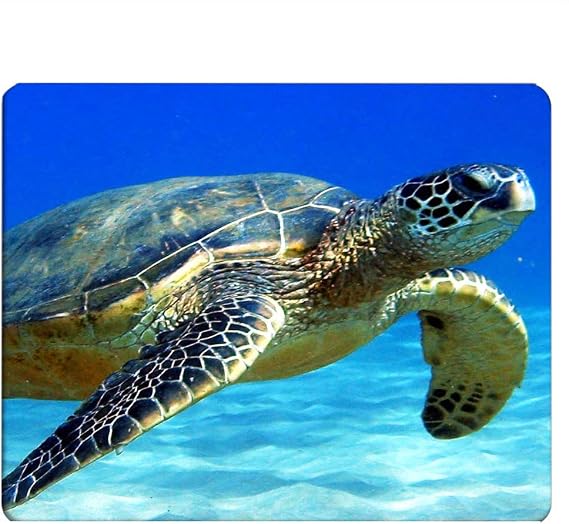 Turtle Gaming Mousepad Sea Turtle Sea World Blue Ocean Mouse Pad Mouse Mat for Computer Desk Laptop Office 9.5 X 7.9 Inch Non-Slip Rubber