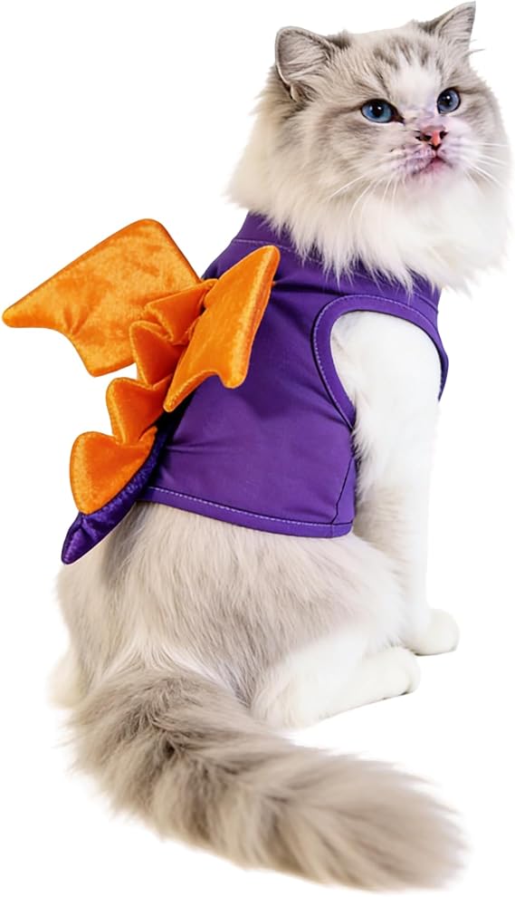 Pet Custom Dog Custom Cat Custom Hoodie, Sporty Look, Funny Gift, Halloween Holiday (Dinosaur, Small)