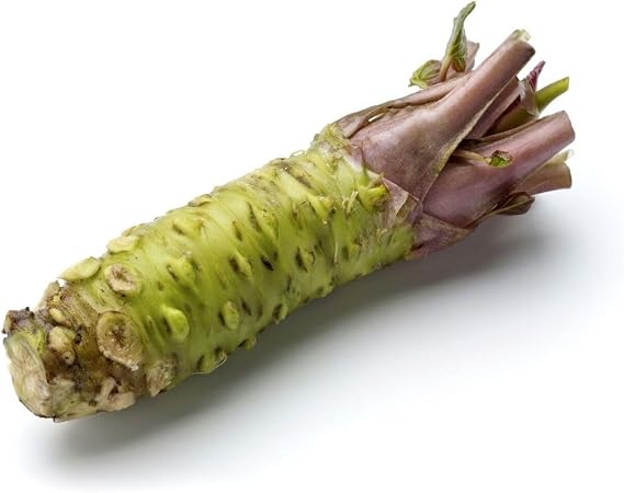 10 Seeds Wasabi VIABLE Seeds Easy to Grow Garden