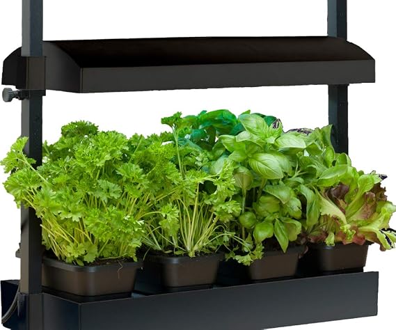 SunBlaster T5HO Indoor Micro Growlight Garden, Home Growing Kit, Black Small