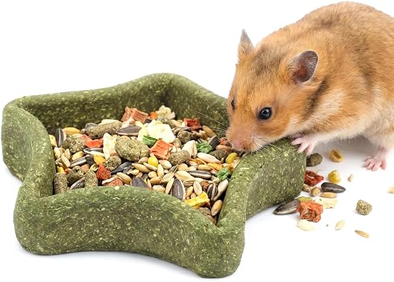 DQITJ Hamster Chewing Bowl Edible Premium Timothy Hay Grinding Bowl for Syrian Dwarf Hamsters Gerbils Mice Squirrel Guinea Pig (Star-Shaped