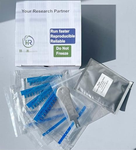 Pre-Casted Protein Gel (HG-PageTM) (4-20%, 12 Well)