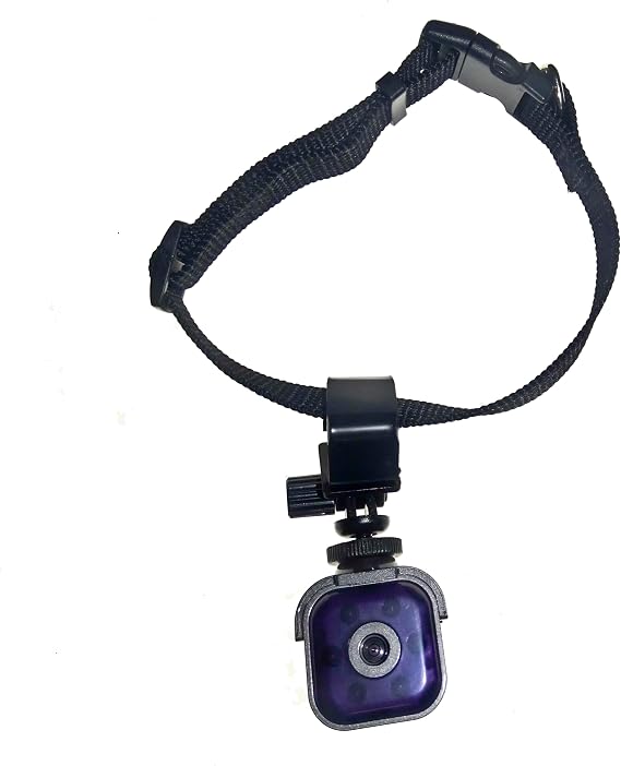 Mini Wi-Fi Pet Camera, 900mAh Battery, iOS/Android App, Remote Monitoring, AP Modes, Two Way Audio.