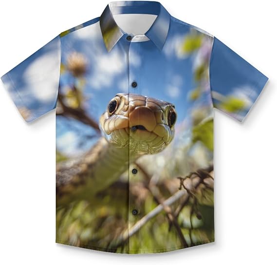 Vacation Shirts for Boys Summer Casual Short Sleeve Hawaiian Shirt Funny Print Button Down Beach Tops