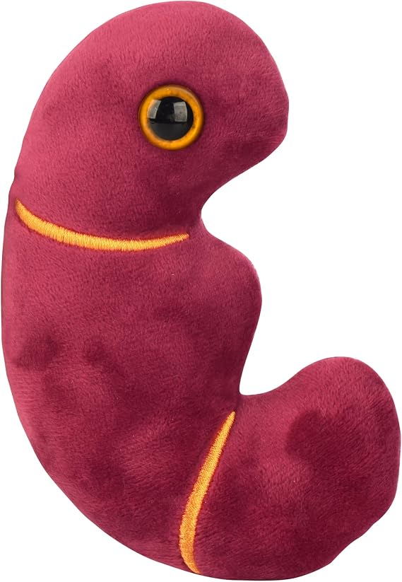 GIANT MICROBES Stuffed Kidney Plush Toy, Nephrology Gift