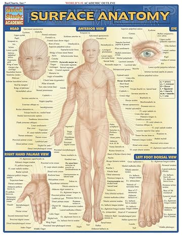 Surface Anatomy: QuickStudy Laminated Reference Guide