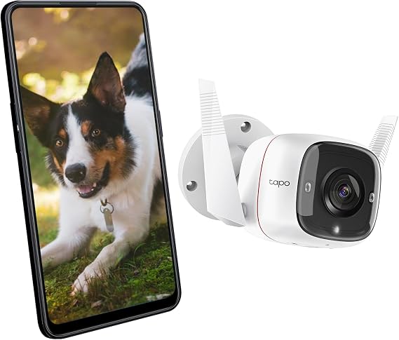 TP-Link TC65, 2K 3MP, Hareket Algılama, IP66 Su Geçirmez, 30m Gece Görüşü, Çift Yönlü Ses, Bulut/Yerel Depolama, Sesli ve Işıklı Alarm, Dış Mekan Wi-Fi/Ethernet Güvenlik Kamerası