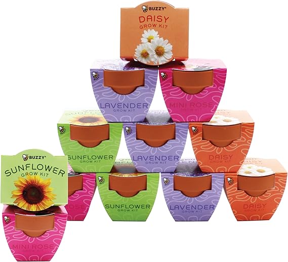 Buzzy Seeds Bright Series Grow Kit, Assorted 12-Pack - Mini Terracotta Pot Grow Set - Complete Indoor/Outdoor Gardening Kit with Seeds, Coconut Husk Growing Medium & Genuine Pots - 100% Grow Guarantee