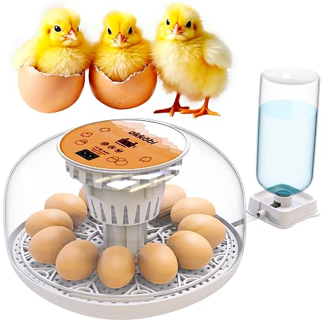 Okkobi M12 Egg Incubator with Automatic Turner and Humidity Control - 12/24 Eggs, 360 View, Easy to Use and Clean - Incubadora de Huevos de Gallina - Made for US - White & Orange