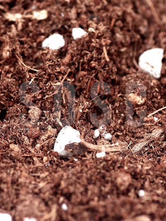 Substrat Mix Ithal Torf Cocopeat Perlit Özel Karışım Saksı Harcı Çiçek Ve Bitki Toprağı 10 LT