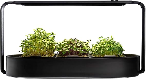Microgreens Growing Kit - Organic Superfood Sprouting Seed Pads (3) | Auto 4-Stage LED Grow Lights & Hydroponic Watering System | Chic Steel Frame & Ceramic Bowl, Plastic-Free [Black]