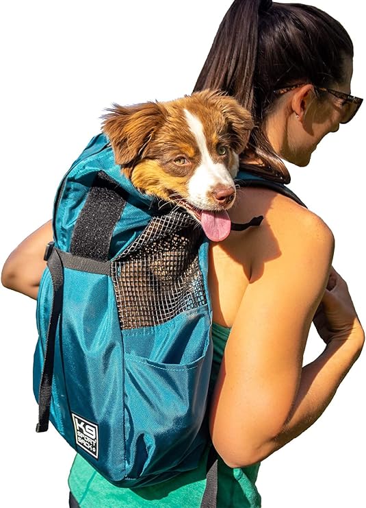 K9 Sport Sack Trainer