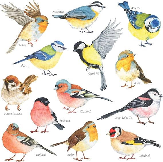 DECOWALL DS2-8038 Little Birds Kids Wall Stickers Wall Decals Peel and Stick Removable Wall Stickers for Kids Nursery Bedroom Living Room (Small) decor