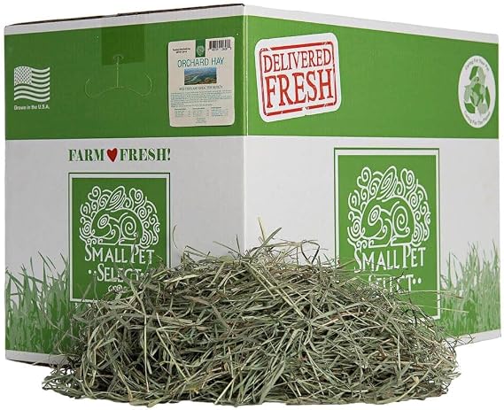 Small Pet Select Orchard Grass Hay Pet Food for Rabbits, Guinea Pigs, Chinchillas and Other Small Animals, Premium Natural Hay Grown in The US, 20lb (9.07kgs)