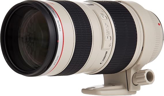 Canon EF 70-200mm f/2.8L USM Telephoto Zoom Lens for SLR Cameras, Black