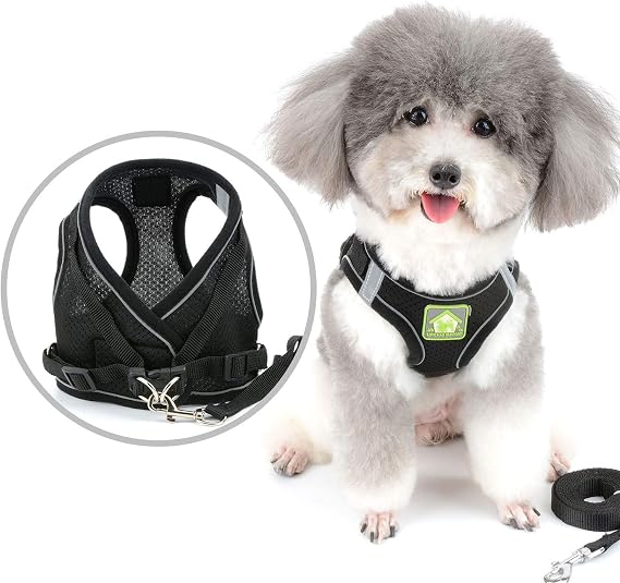 Zunea No Pull Dog Harness and Leash Set for Small Dogs Adjustable Reflective Puppy Vest Harnesses Soft Mesh Step-in Pet Cat Harness Escape Proof for Walking, Bright Colors for Dogs Girl Boy Black M