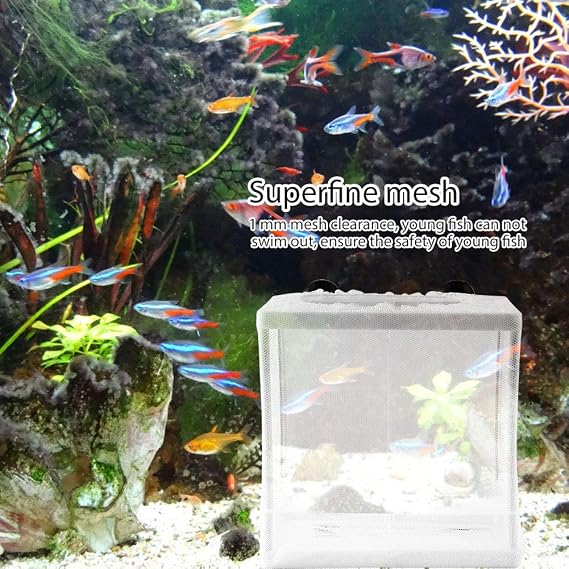 Multifunctional Fish Breeder Incubator Breeder Aquarium Fish Tank Aquarium Fish Breeding Box, Isolation Mesh Box, for Fish Tank