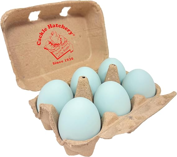 Ceramic Nest Eggs - Blue