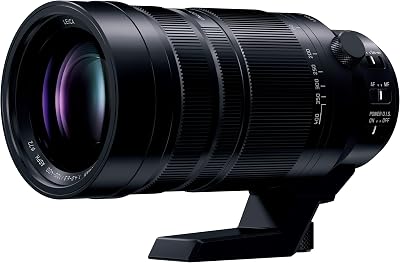 Panasonic H-RSA100400 100-400mm, F4.0-6.3 II ASPH, Micro Four Thirds Camera Lens