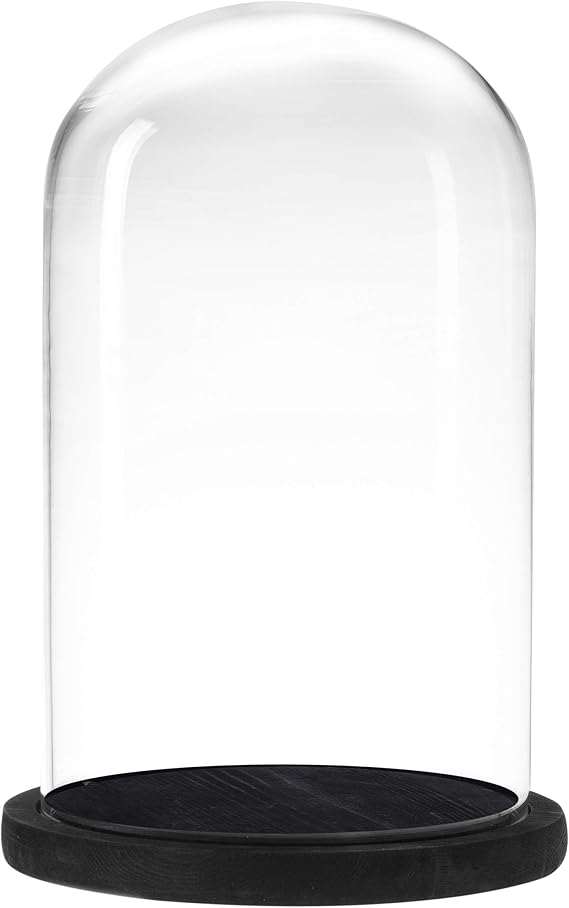 MyGift Bell Jar Glass Cloche Black Wood Base 10 Inch Display Dome
