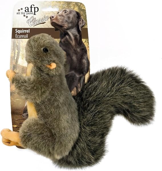 ALL FOR PAWS Classic Squirrel Pet Toys, Small