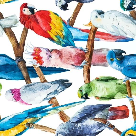 Dixie Belle A1 Rice Decoupage Paper - Birds (3pk) - 12"" x12