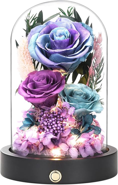 Preserved Flowers Arrangement in Glass Dome, Flowers for Delivery, Valentines Day Gifts for Her, for Mom, Anniversary Birthday Gifts for Women (Starry Purple & Blue)