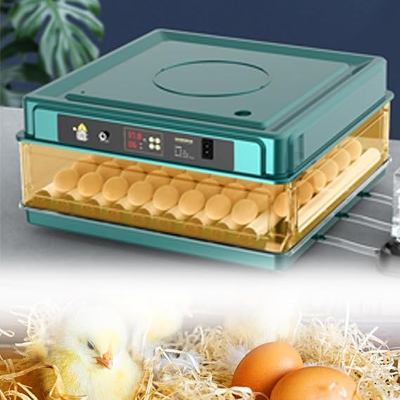 Automatic Incubator Digital Poultry Hatcher Machine, Holds 36 Fertile Eggs, Energy-Saving LED Illumination, Precise Temp & Humidity Adjustment, Suitable For Chicken, Duck, Goose, Pigeon And Quail