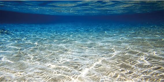 AWERT 24x12 inches Ocean Floor Aquarium Background Underwater Fish Tank Background Undersea Theme Aquarium Background