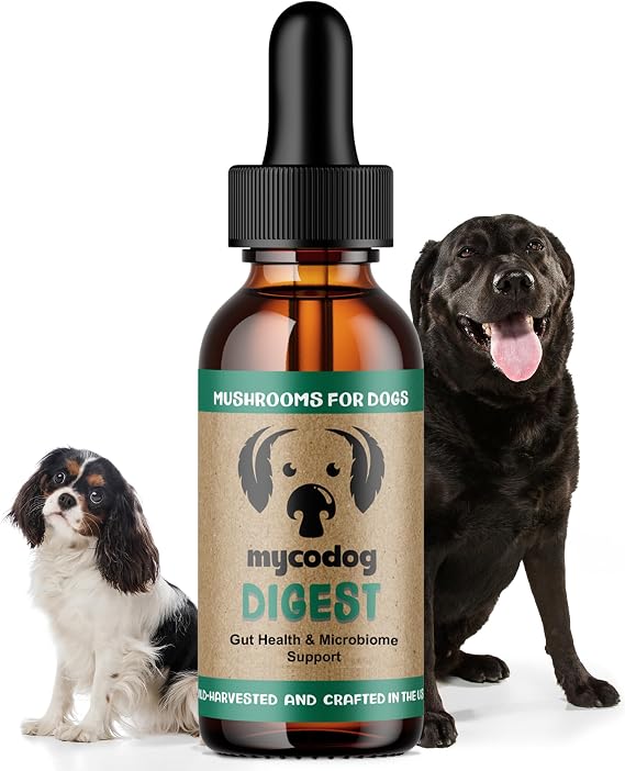 MycoDog Digest - Digestive Support for Dogs, Gut Health, Microbiome Balance | Probiotic alternative with functional mushrooms & adaptogens.