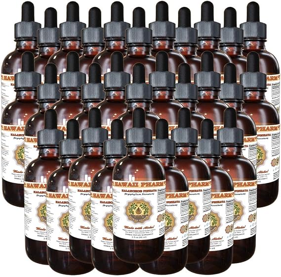 Kalanchoe Pinnata (Bryophyllum Pinnatum) Tincture, Dried Leaf and Stem Liquid Extract, Kalanchoe Pinnata, Herbal Supplement 30x2 oz
