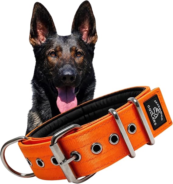 SparkDog 2 Padded Working Dog Collar, Stainless Steel Hardware | Built for Powerful High-Drive Dogs Professional Grade Equipment for Serious Handlers, Made for Sport and Protection Dogs