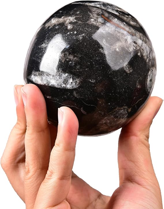 AMOYSTONE Natural Orthoceras Fossil Sphere for Home Meditation Altar Decor