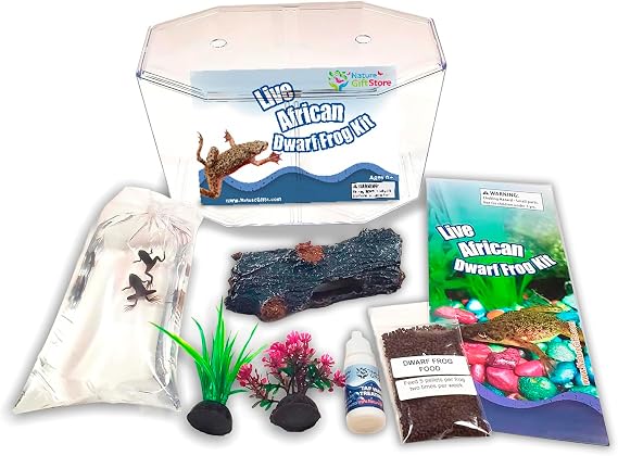 African Dwarf Frog Starter Kit with Certificate for 2 Live Frogs, Aquarium