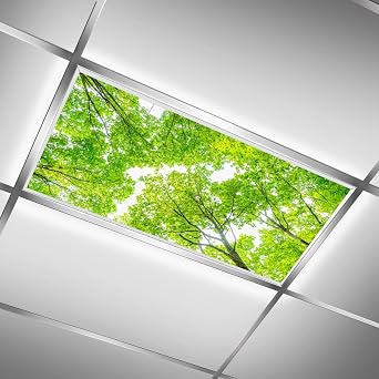 Fluorescent Light Covers for Classroom Office - Eliminate Harsh Glare Causing Eyestrain and Headaches. School-Office-Indoor Ceiling Lamp Decoration Forest