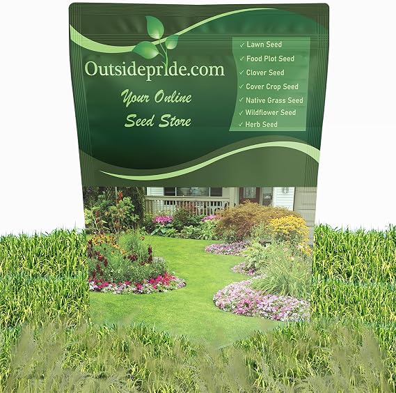 Outsidepride Switchgrass Seed - 25 lbs. Perennial Hardy, Drought & Flood Tolerant Native Grass Seed Ideal Fast-Growing Grasses for Erosion Control, Wildlife Forage & Food Plots, Thrives in Poor Soil