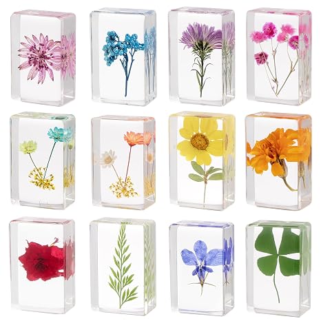 12 Pcs Real Pressed Flower Resin Paperweights - Botanical Specimen Collection for Home Desk Decor, Science Education, and Unique Display Supplies