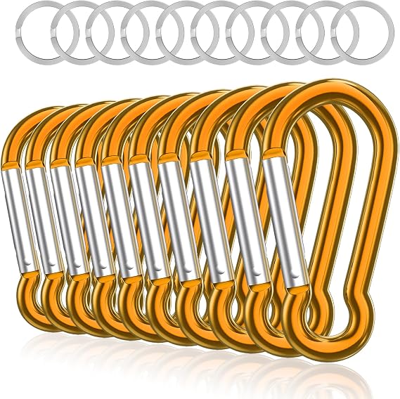 Aluminum Carabiner, Caribeener Clips, Spring Snap Hook for Keychain Clip, Set of 10