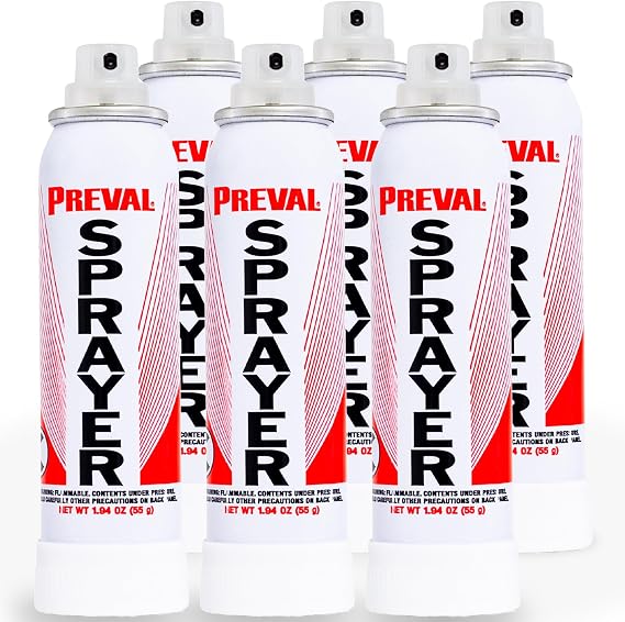 Preval Sprayer Power Unit (6 Pack) - Replacement Handheld Paint Sprayers - Portable Aerosol Paint Sprayer for Touch Ups, Primers, Stains, Finishes & Detail Projects | MPN 0268
