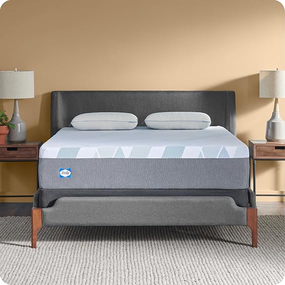 Sealy Dreamlife 12 Foam Mattress-in-a-Box, King, SealyComfort Gel Memory Foam, SealySupport Transition Foam, Surface-Guard Technology