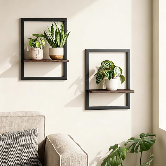 Bamworld Wall Plant Holder Hanging Planters for Indoor Plants Frames Decor | Wall Planters for Small Pots Floating Shelves for Living Room Window Iron Wood 2 Pack